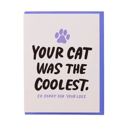 Coolest Cat, And Here We Are