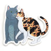 files/catpair.webp