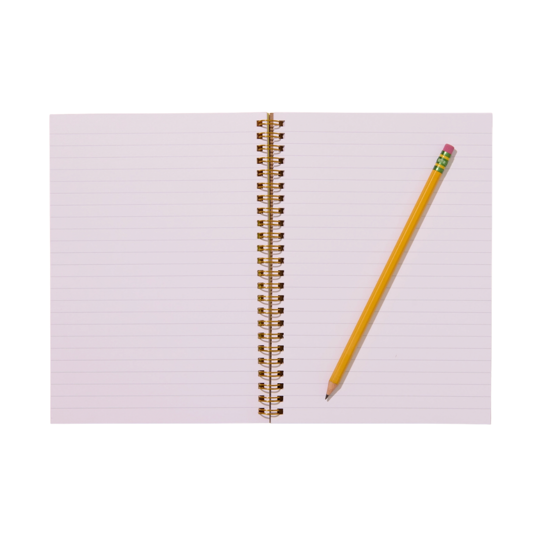 Diet Soda Notebook, And Here We Are