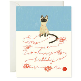 Cat String Birthday, Karen Schipper