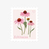files/echinacea-october-flower-stamp-style-sticker-br.webp