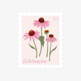 Echinacea, October Flower Stamp-Style Sticker