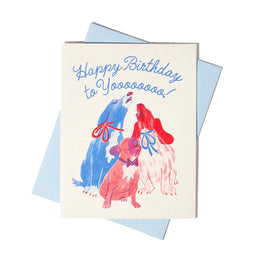 HBD to Yoooou!, Bromstad
