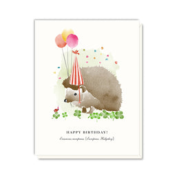 Hedgehog Birthday, Driscoll Design