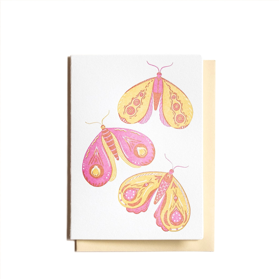 Moth Box Notecards