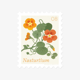 Nasturtium, August Flower Stamp-Style Sticker