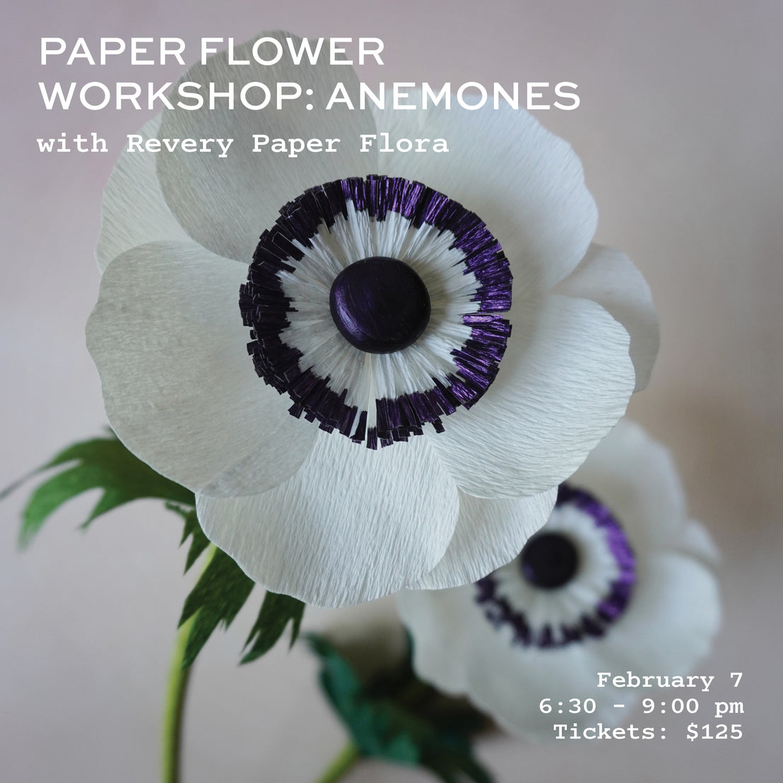 Paper Flower Workshop: Anemones