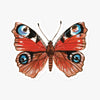 files/peacock-butterfly-sticker.webp