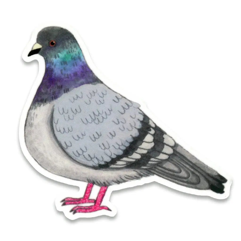 Pigeon Sticker