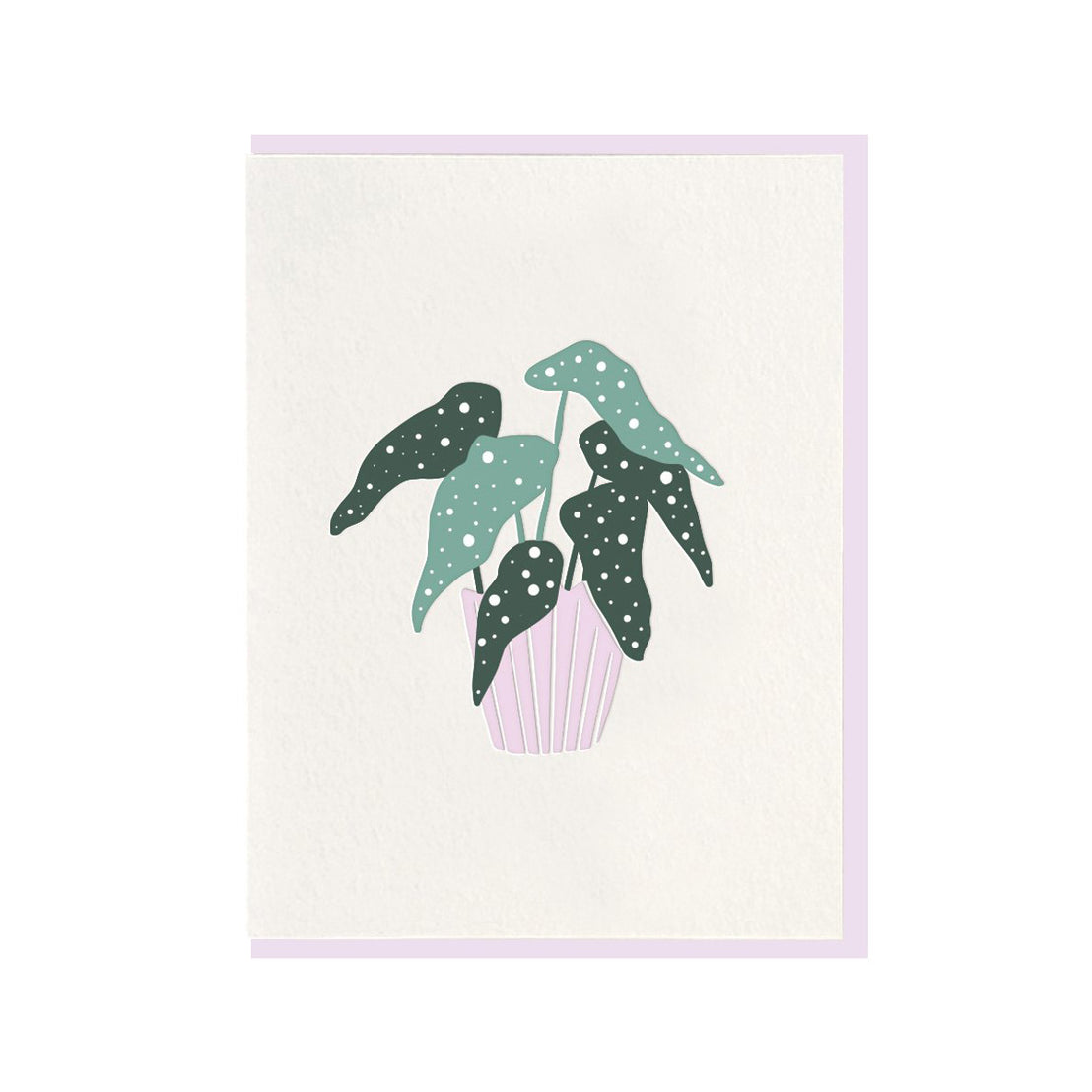 Plant, Dahlia Press