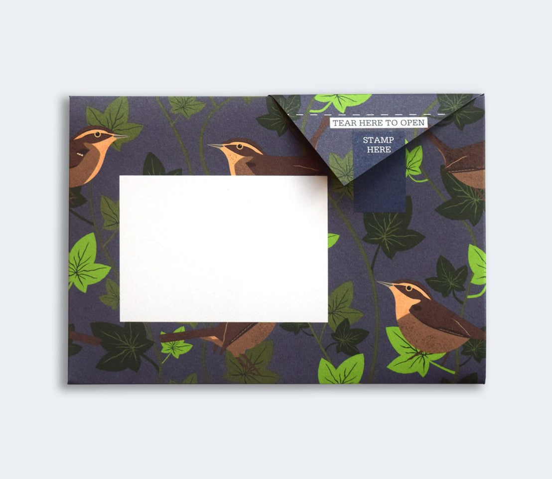 Robin & Wren Pigeon Pack