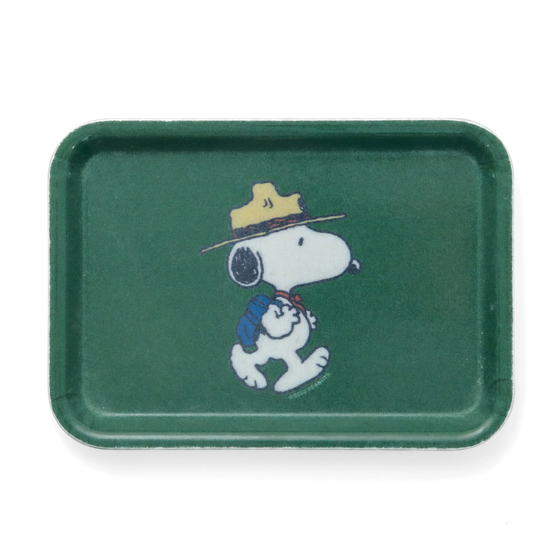 Snoopy Hike Tray