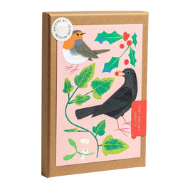 What to Look For Boxed Set, Sunny Beast