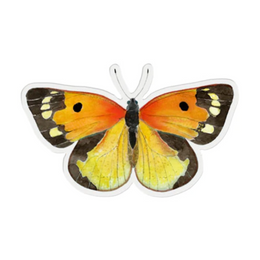 Zerene Butterfly Sticker
