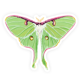 Luna Moth Sticker