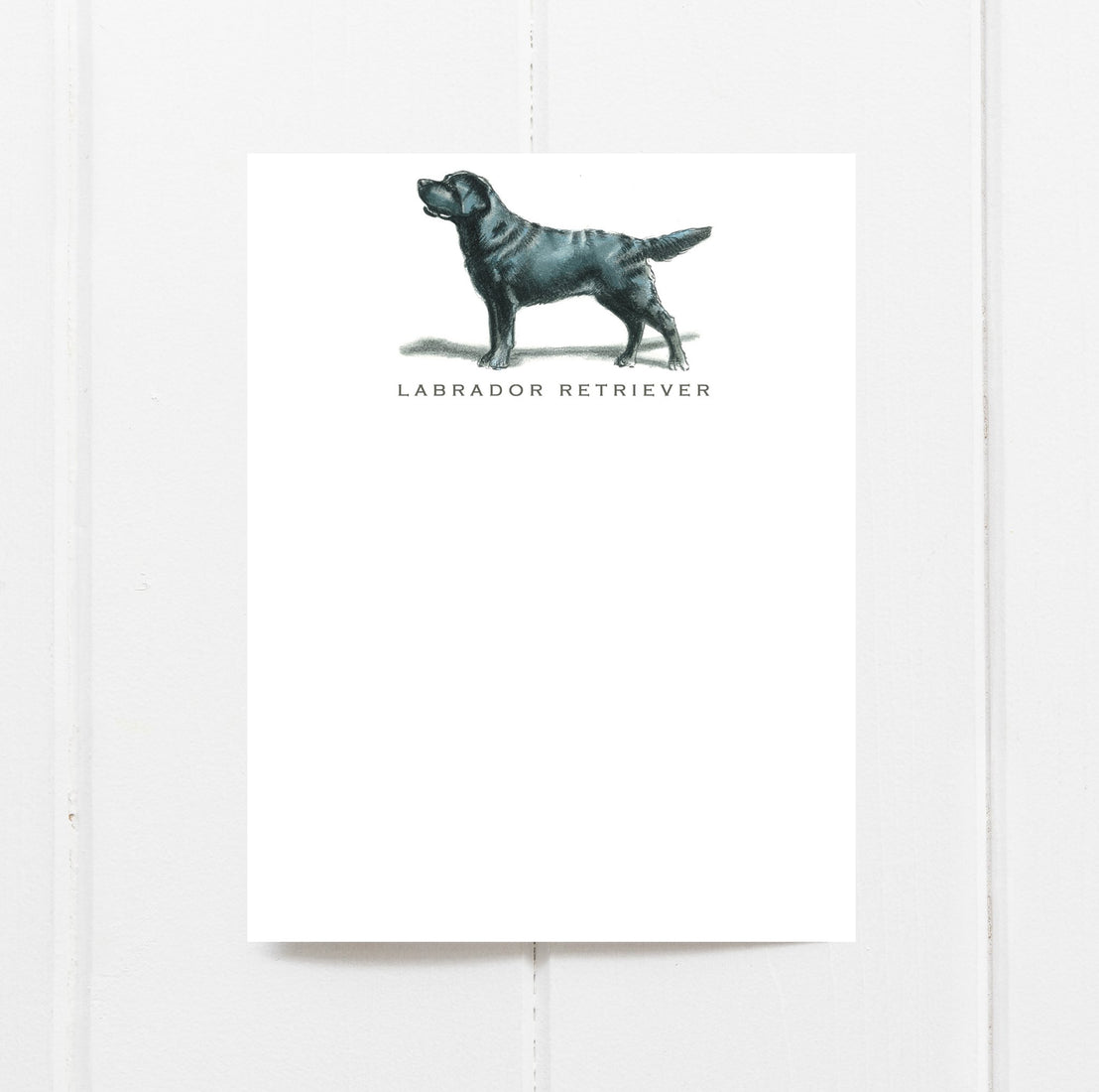 Dog Notecard Sets, Fable & Sage – Penny Post, Alexandria VA