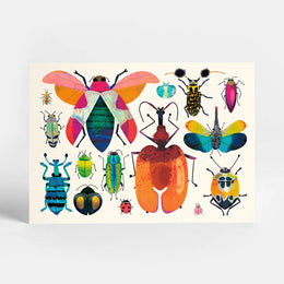 Bug Collection Postcard, Sunny Beast