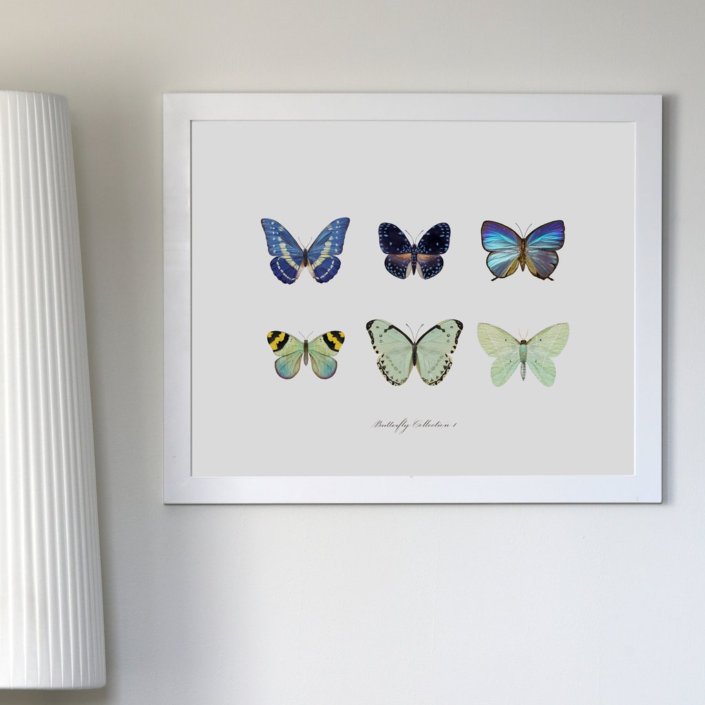 Butterfly Collection Print