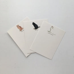 Mixed Cat Notecard Set, Fable & Sage