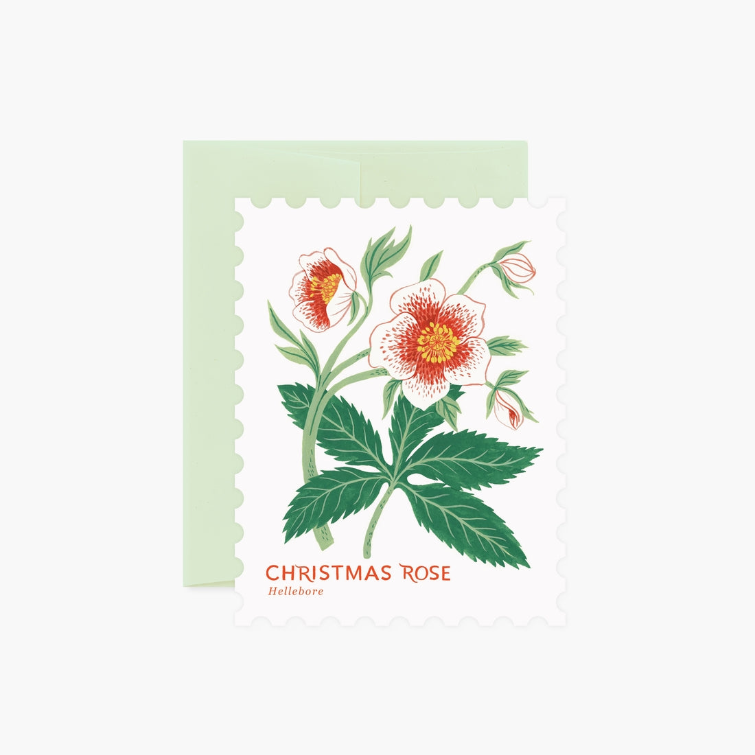 Christmas Rose, Oana Befort