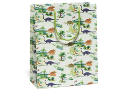 Dinosaurs Bag