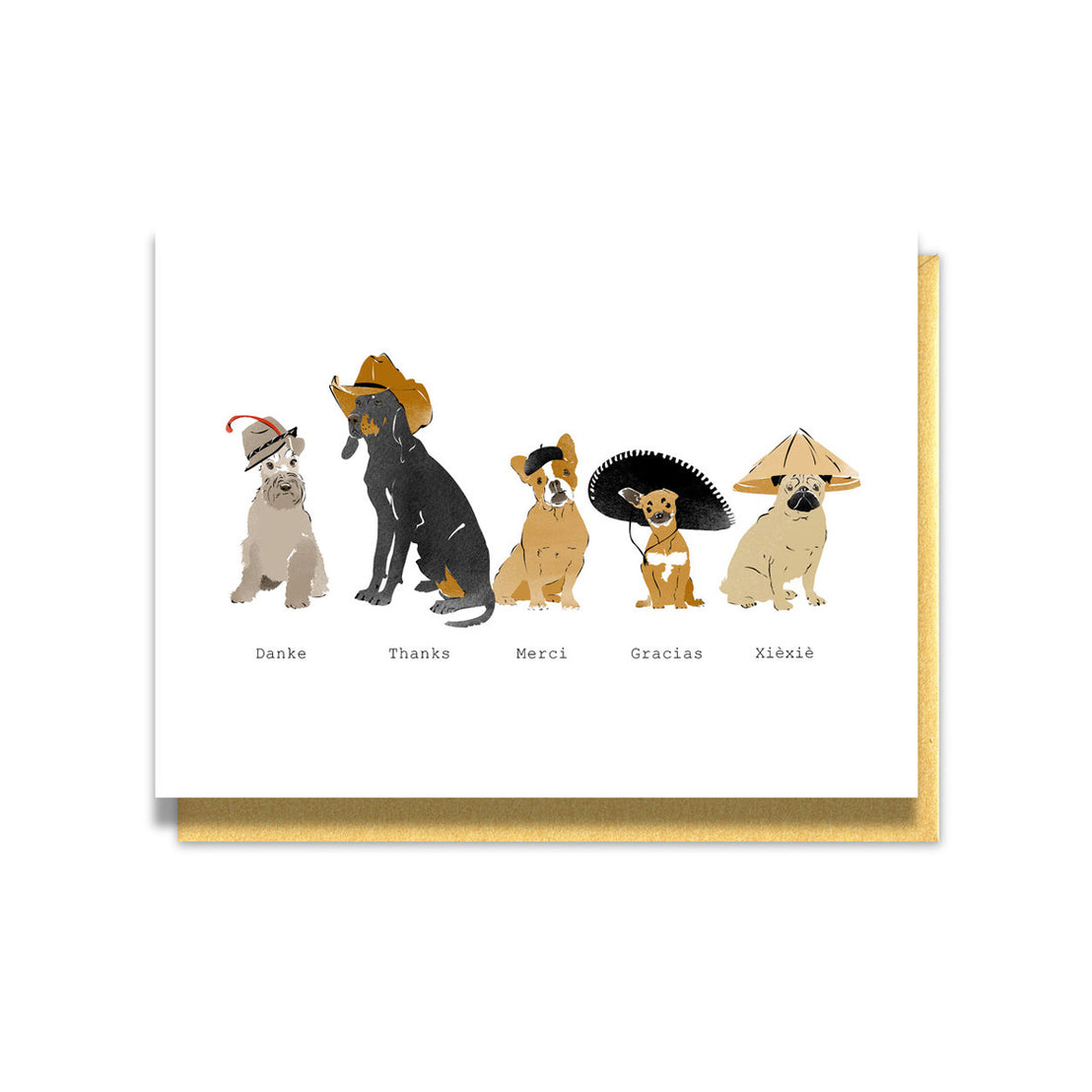 Dogs of the World, Thank You, Driscoll Design