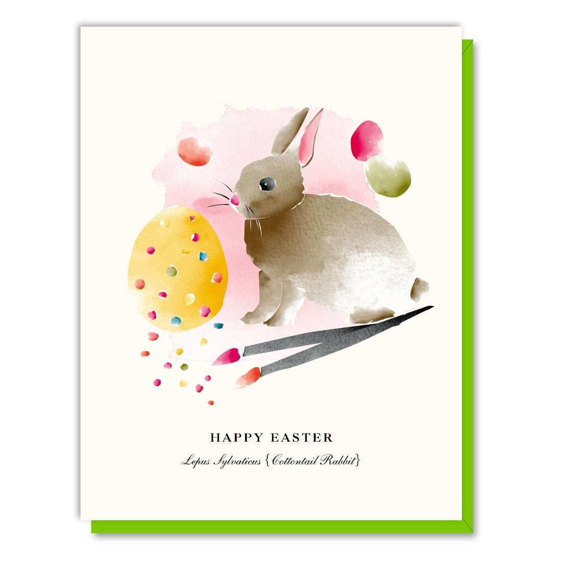 Easter Cottontail, Driscoll Design