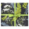 products/Ferns_GiftWrap.webp