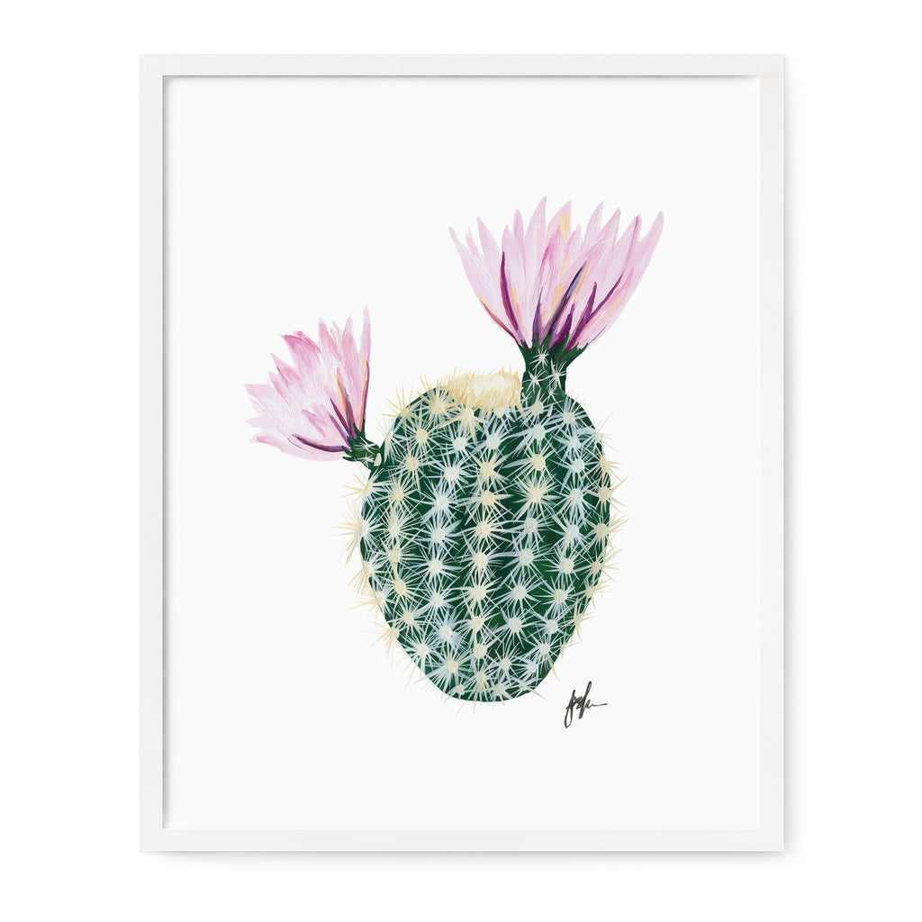 Flowering Cacti II Print