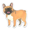 products/Frenchie_Sticker.webp