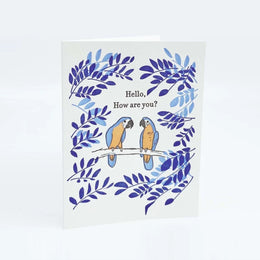 Parrots, Hello, How Are You? Ilee Papergoods