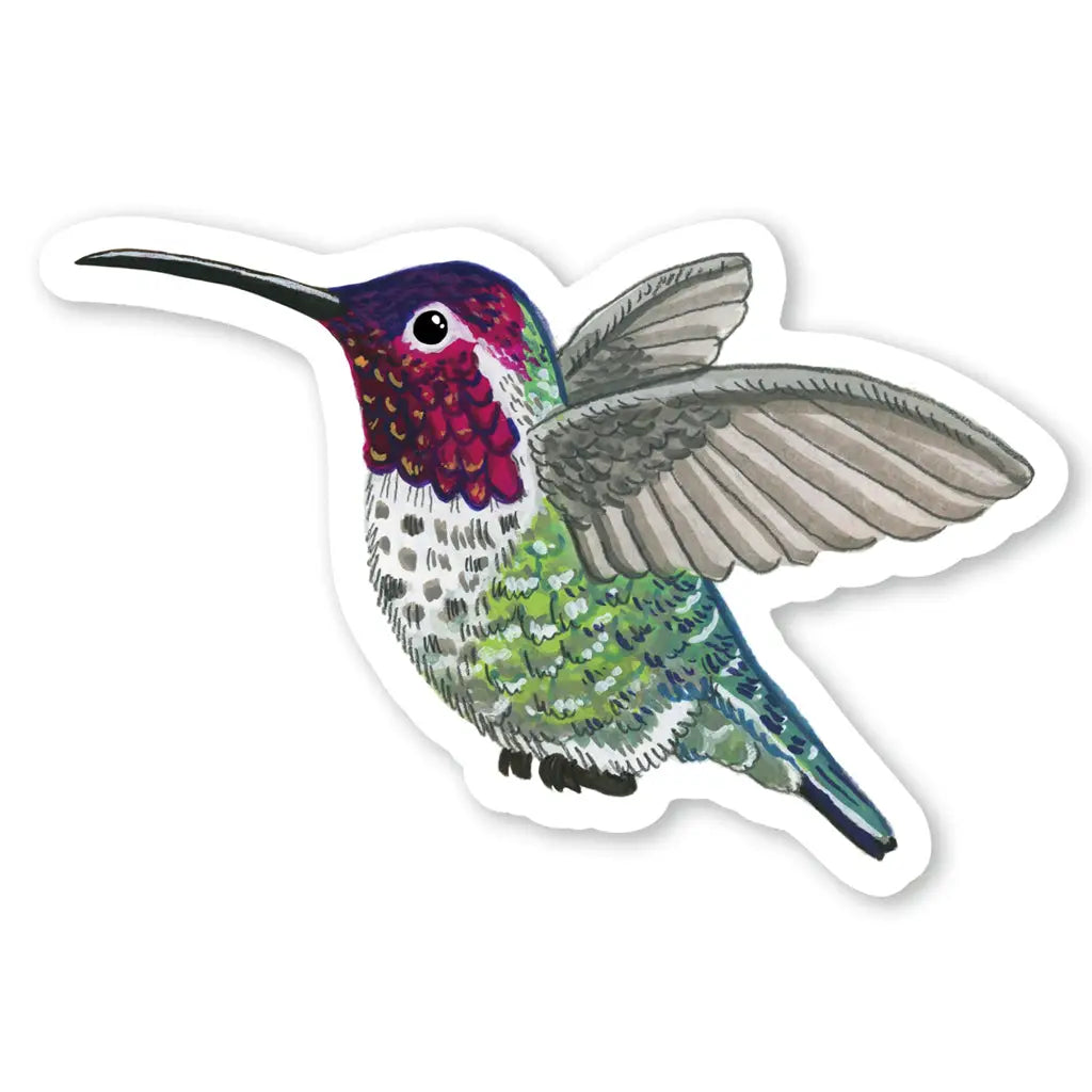 Hummingbird Sticker