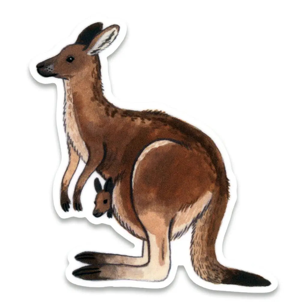 Kangaroo Sticker