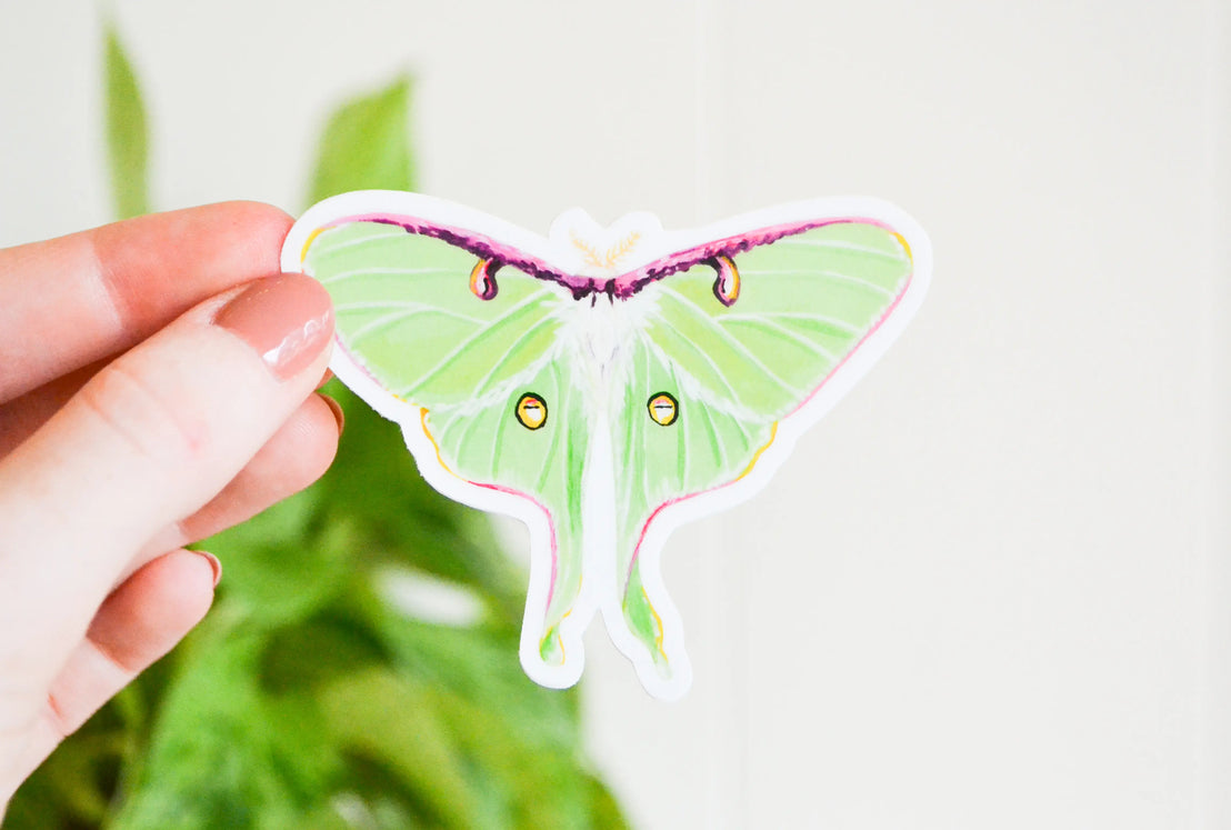 Luna Moth Sticker