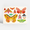 products/Moth_Collection_Postcard.webp