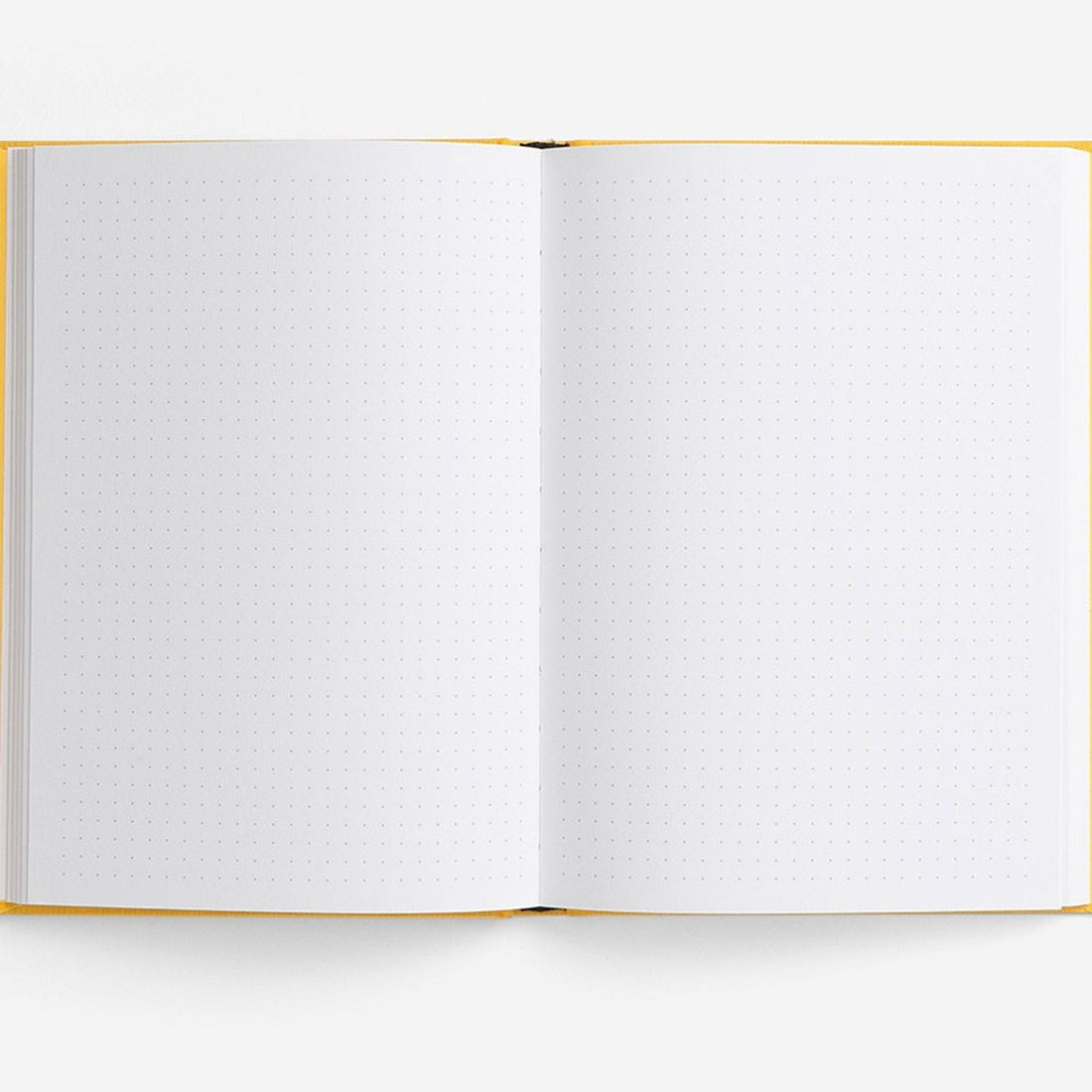 Projects Notebook, The School of Life