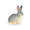 products/Rabbit.jpg
