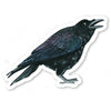 products/Raven_Sticker.jpg