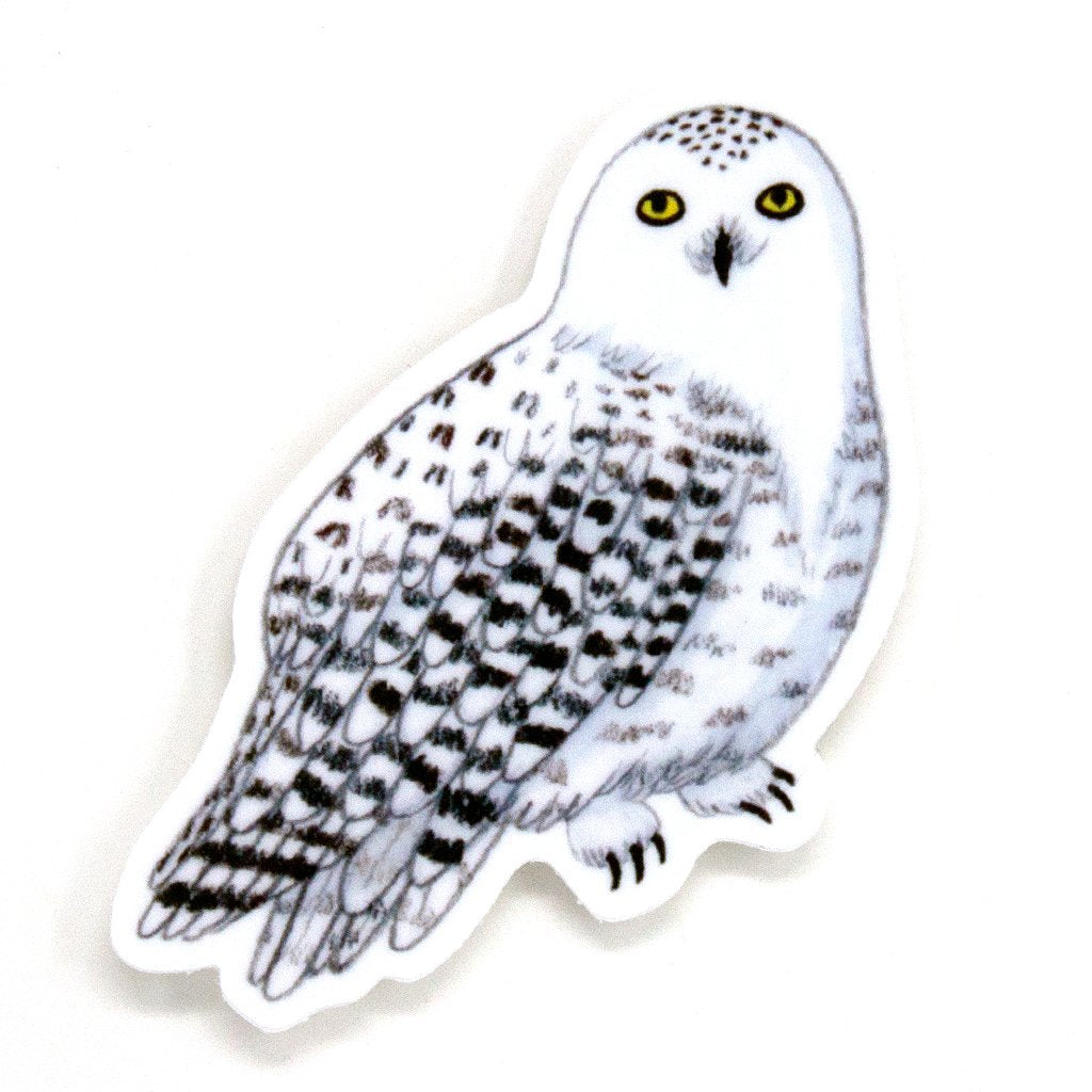 Snowy Owl Sticker