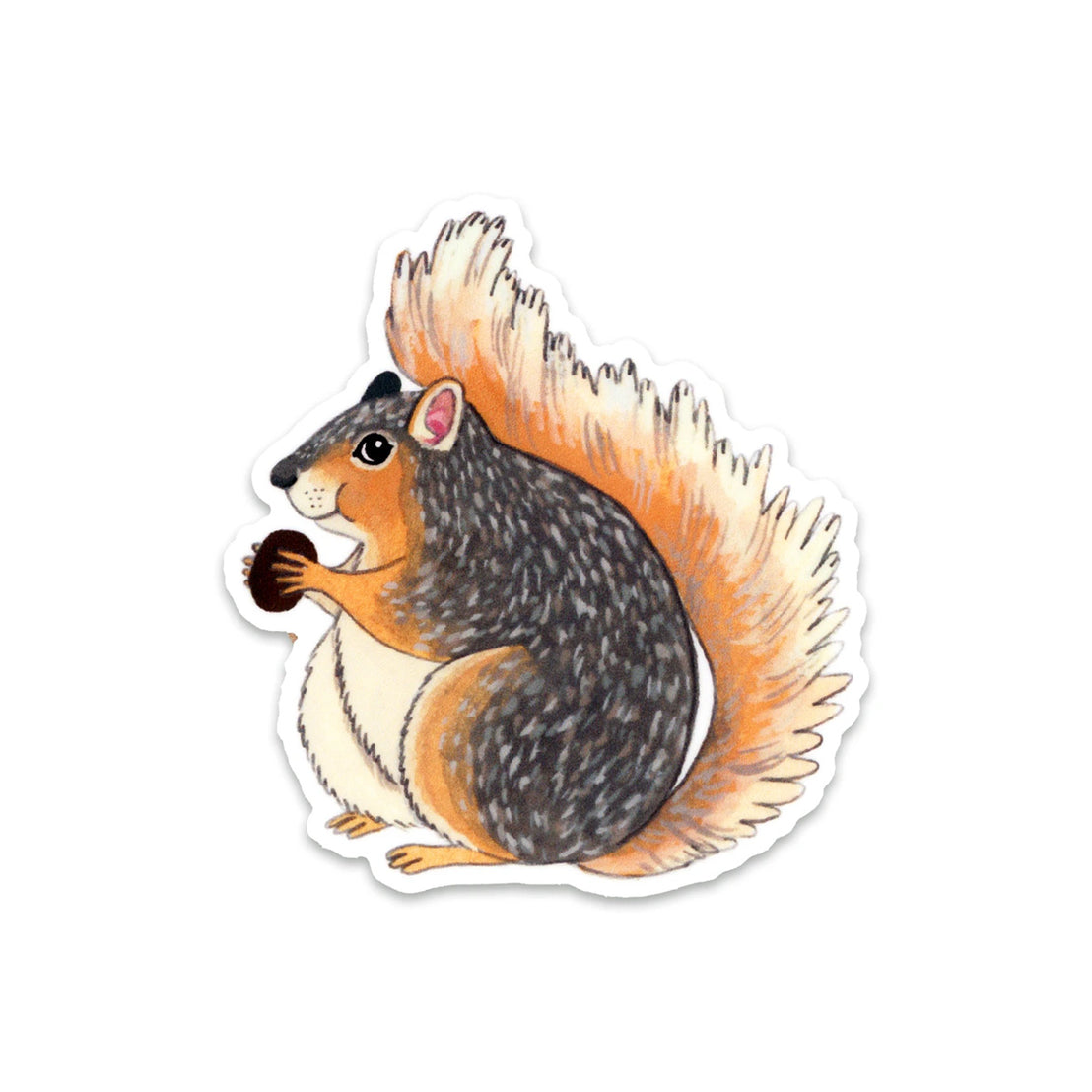 Squirrel Sticker