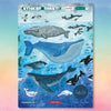 products/Whales_StickerSheet.webp