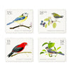 Birds of a Feather Decorative Labels