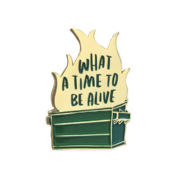 Dumpster Fire Pin