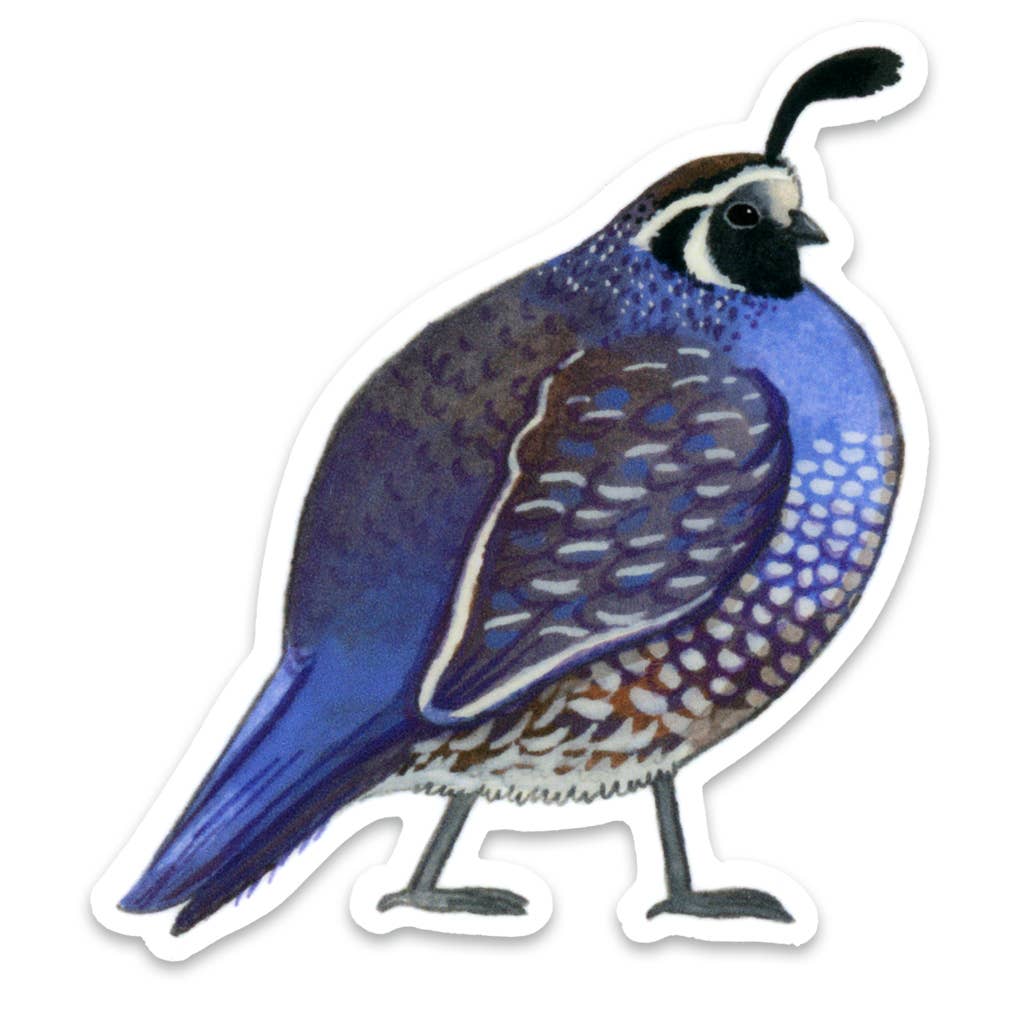 Quail Sticker