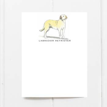 Dog Notecard Sets, Fable & Sage – Penny Post, Alexandria VA
