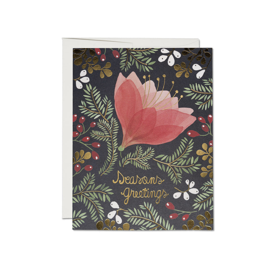 Amaryllis Holiday Boxed Set, Red Cap Cards